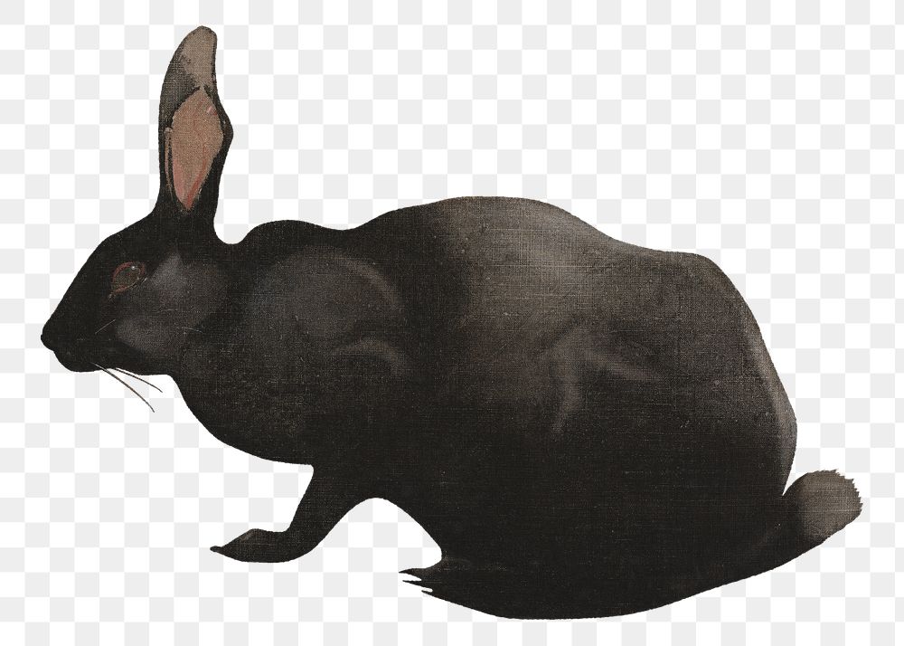 A Black Rabbit png, vintage animal illustration by Joseph Crawhall, transparent background. Remixed by rawpixel.