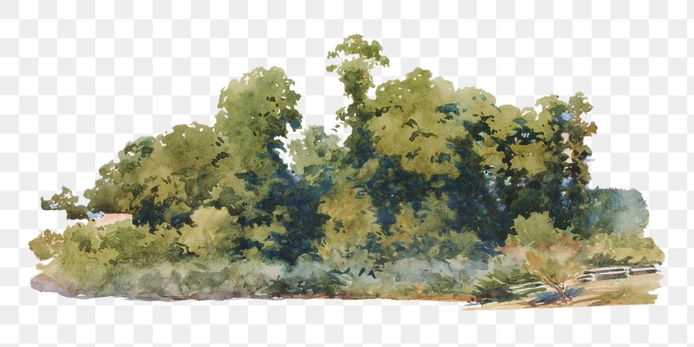 Green trees png watercolor illustration element, transparent background. Remixed from George Elbert Burr artwork, by…
