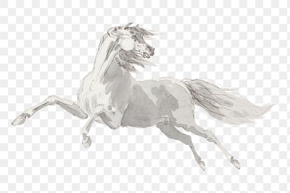White horse png watercolor illustration element, transparent background. Remixed from Sawrey Gilpin artwork, by rawpixel.