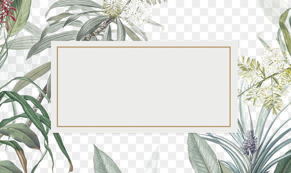 Tropical vintage frame png, botanical transparent background
