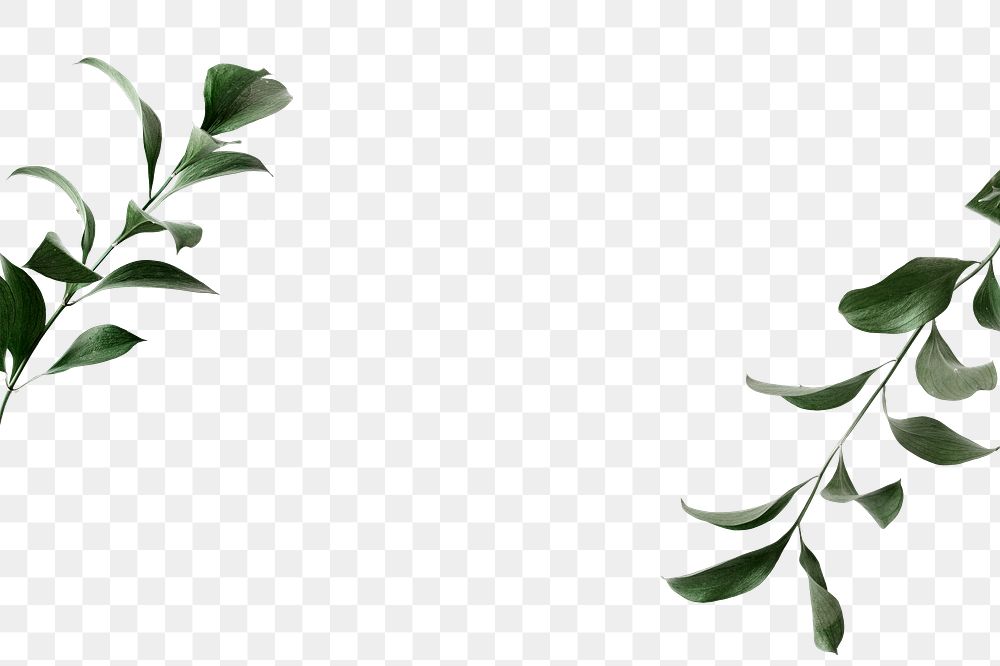 Leaf border png element, transparent background