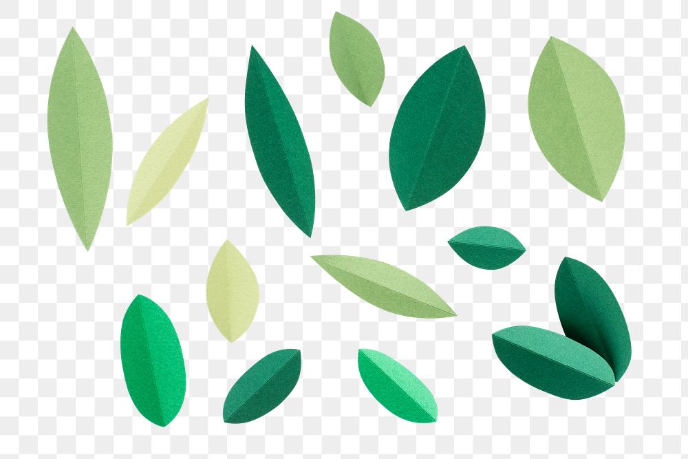 Botanical  leaves png sticker, transparent background