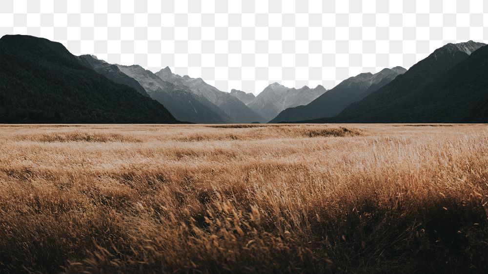 PNG Grassland in Milford Sound, New Zealand collage element, transparent background