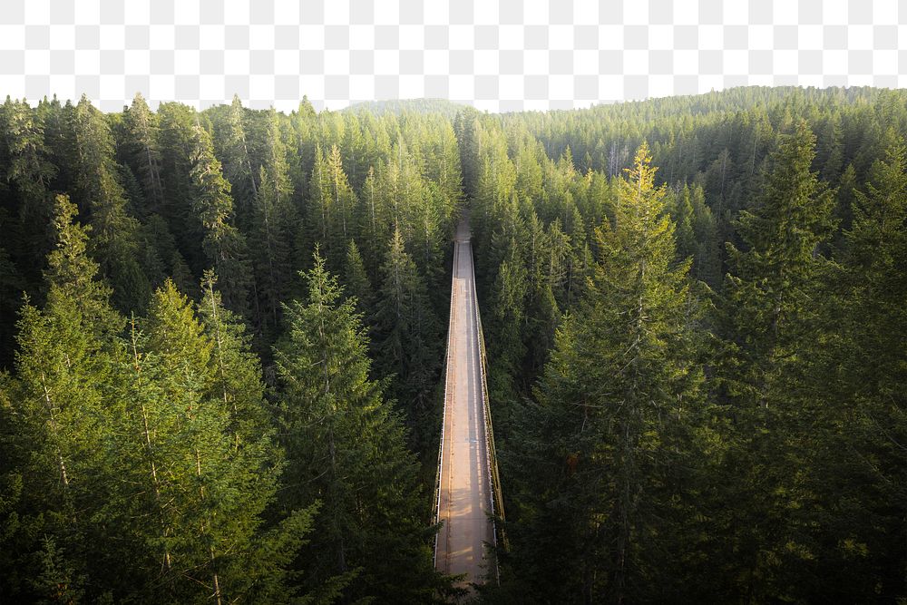 PNG Bridge over a river in a forest collage element, transparent background
