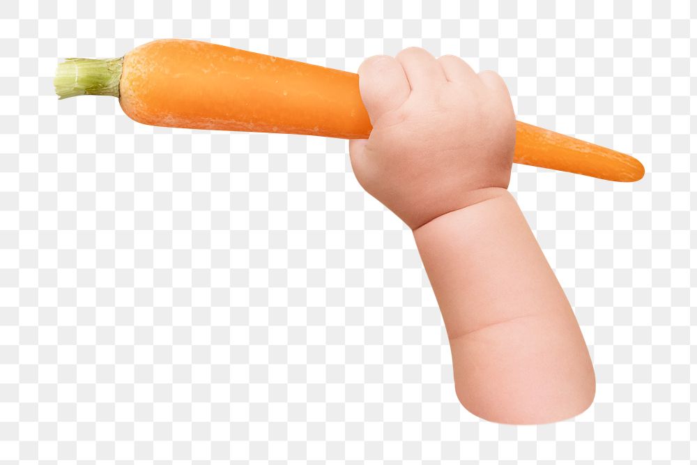 Png baby holding carrot, transparent background