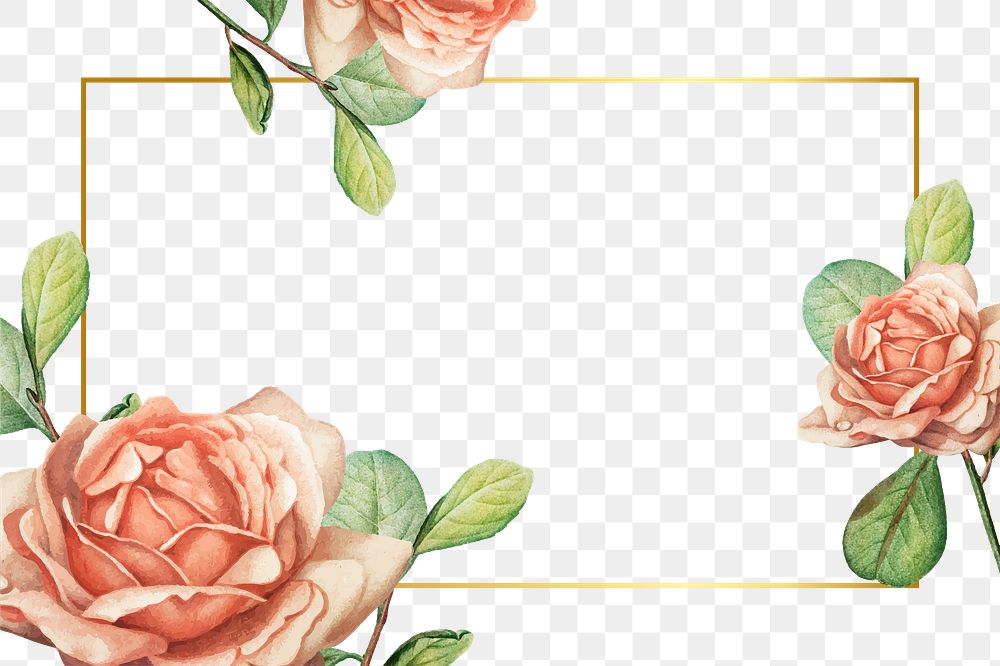 Png aesthetic floral frame, transparent background