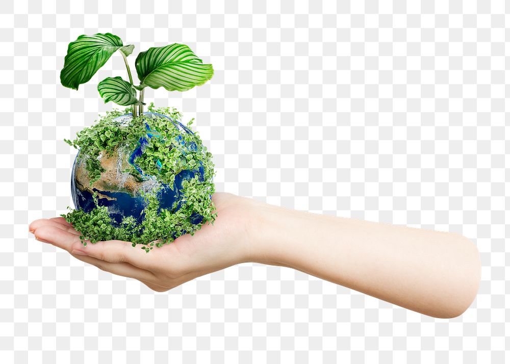 Png sustainable living environmentalist hand holding green earth, transparent background