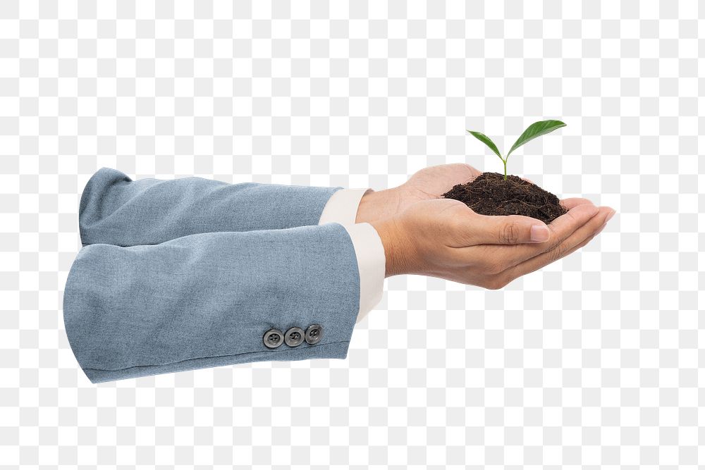 Businessman's hands png cupping plant  transparent background