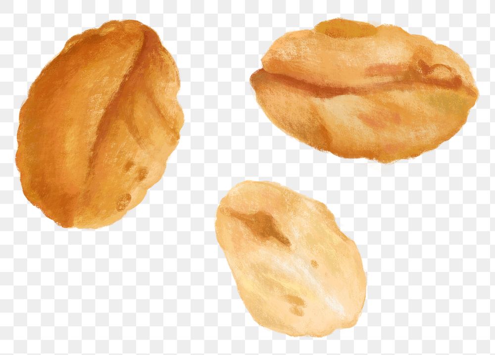 Peanut seed png food, transparent background