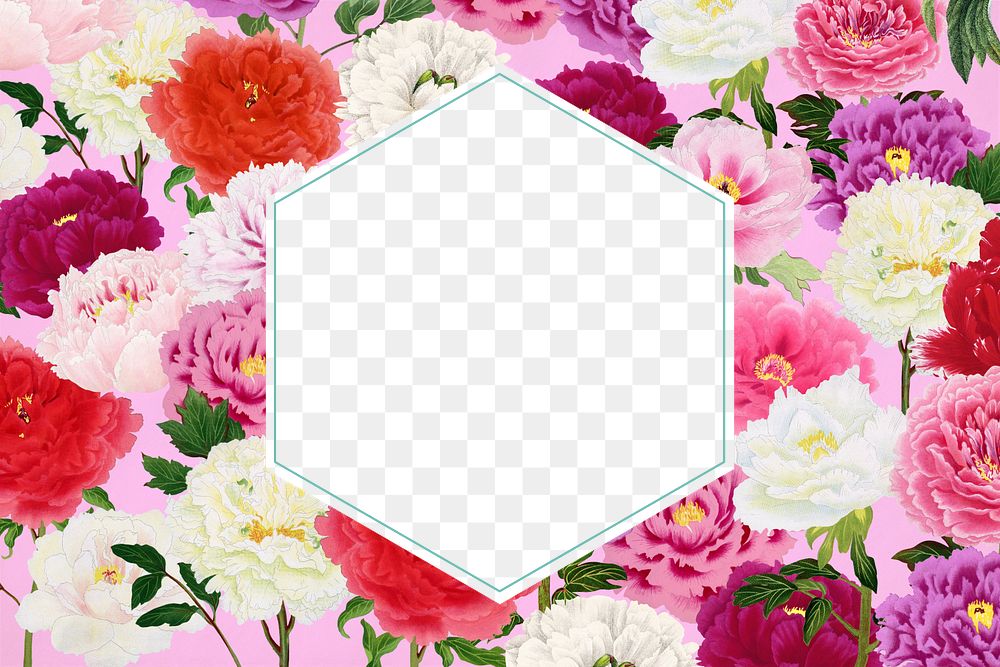 Colorful carnation flower frame, feminine, transparent design