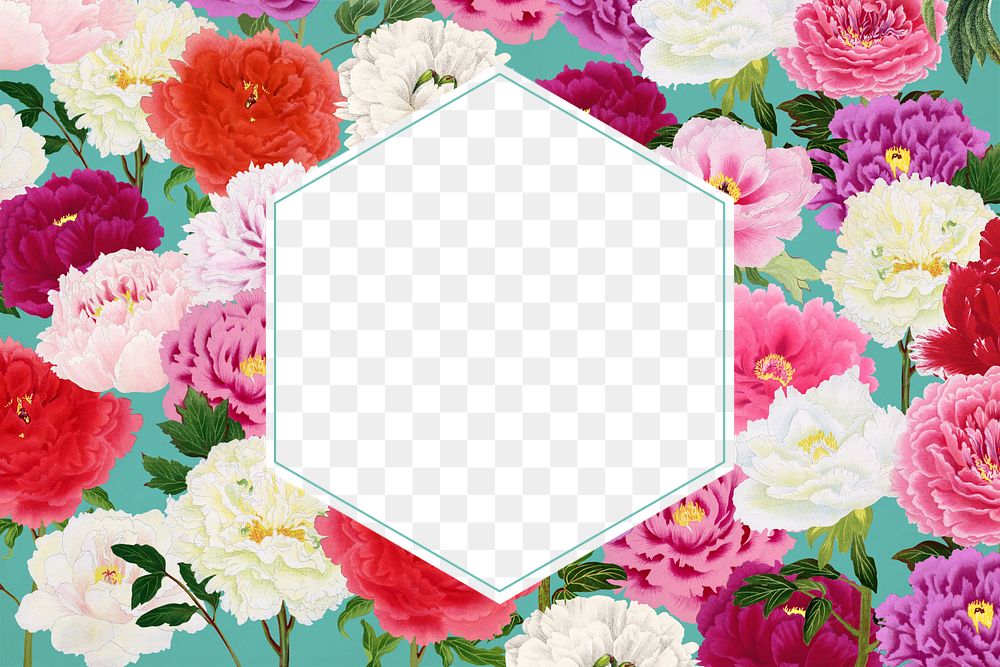 Colorful carnation flower frame, feminine, transparent design