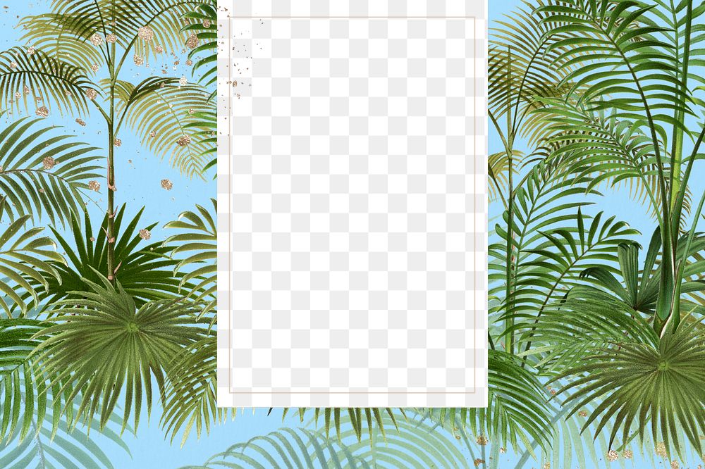 Tropical palm trees png frame, transparent design