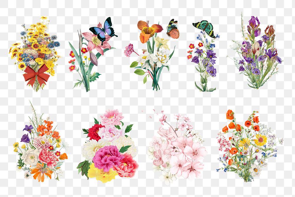 Colorful spring flower png bouquet, botanical collage art set, transparent background