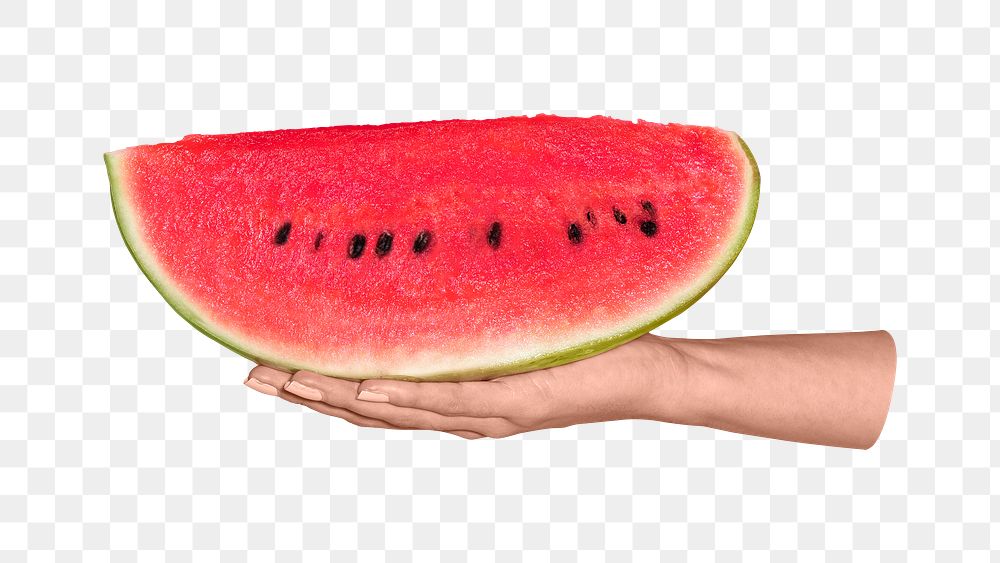 Watermelon png in hand, transparent background