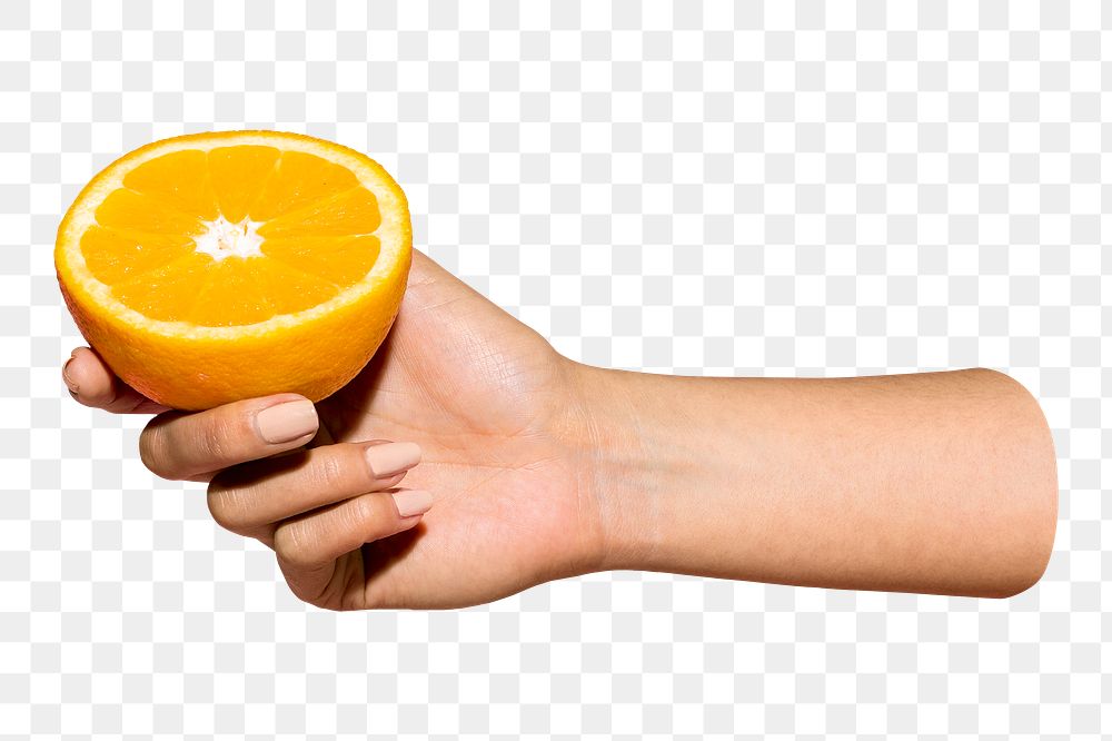 Png hand holding half orange, transparent background
