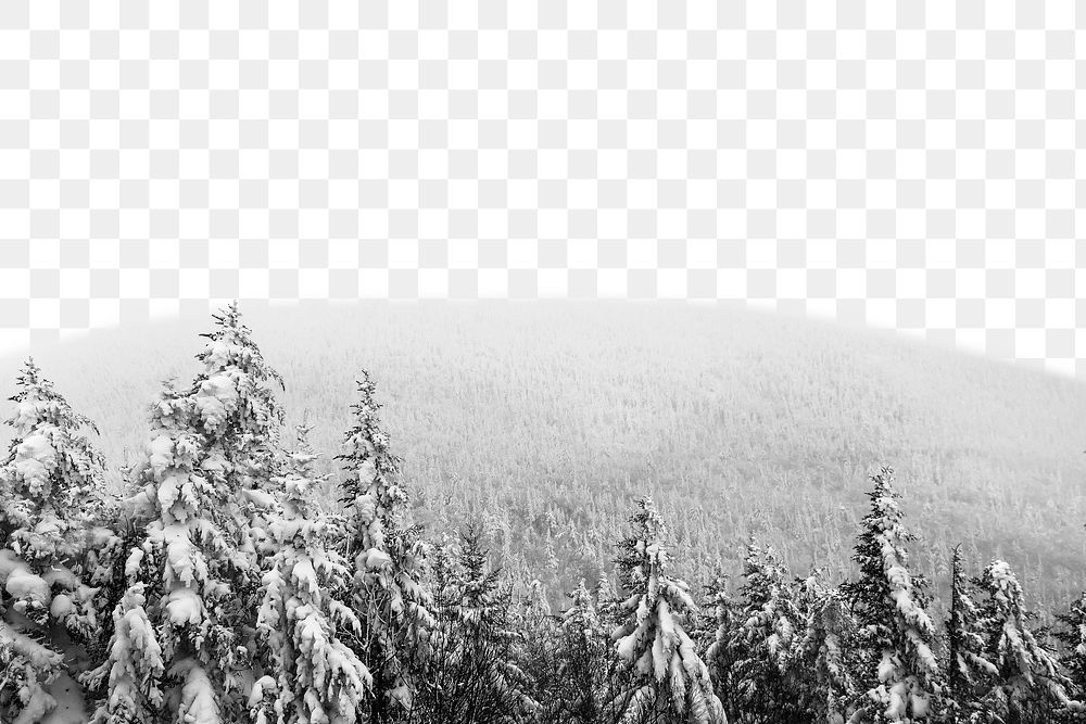 PNG View of snow covered trees amidst the mass of forest land collage element, transparent background