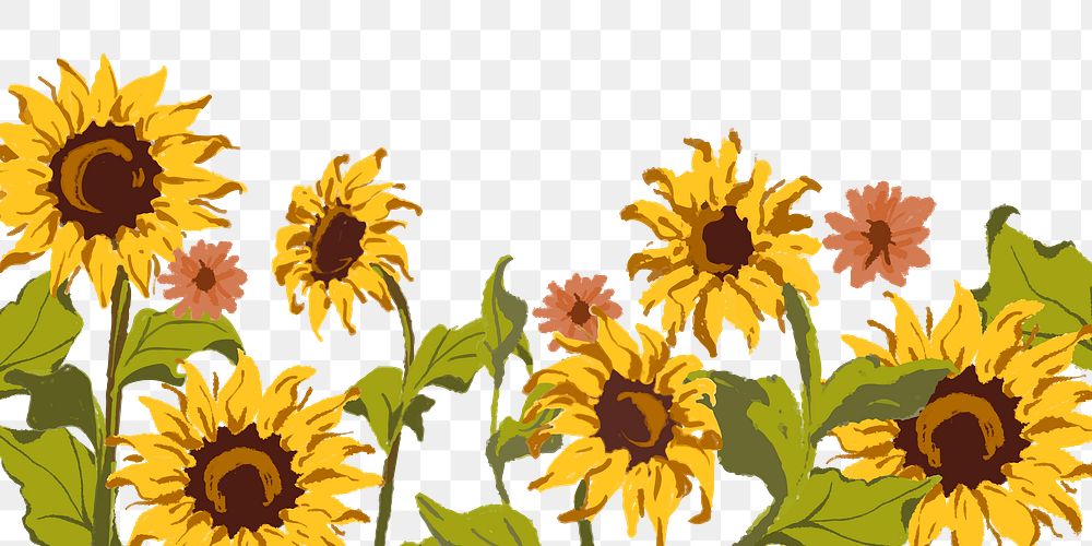 Sunflower png border, transparent background
