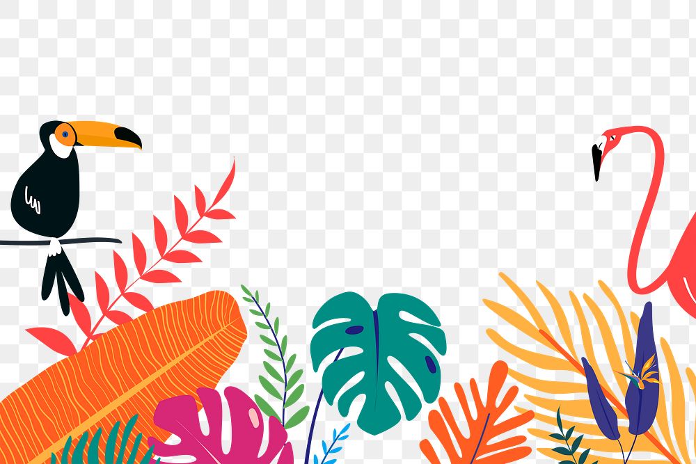 Summer png border, transparent background