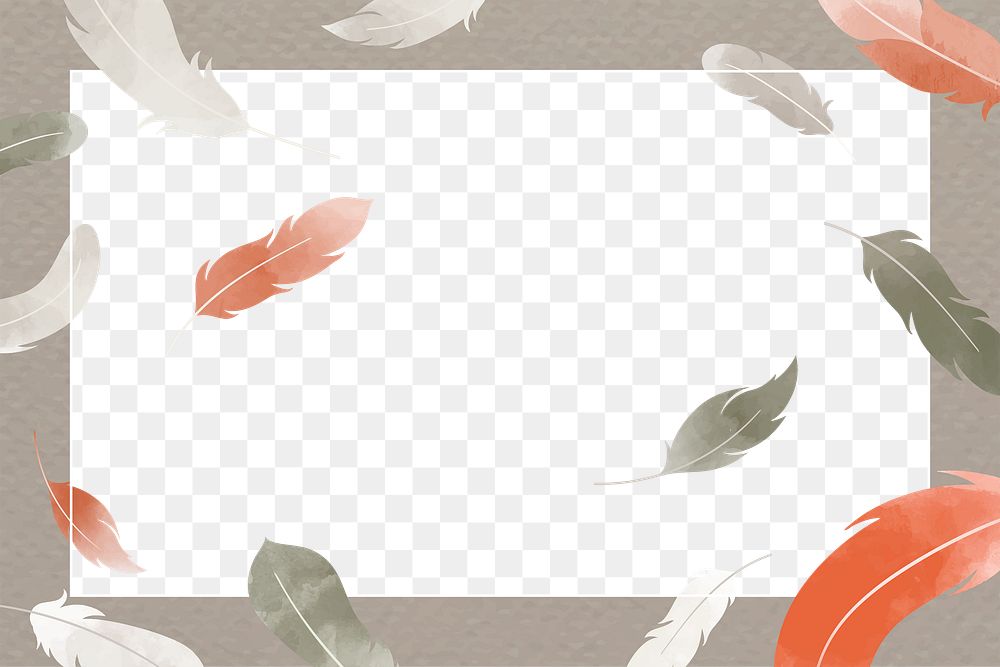 Feather png frame, transparent background