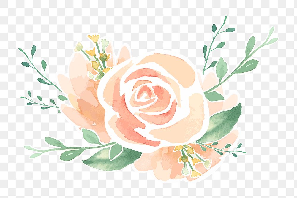 Watercolor rose png, transparent background