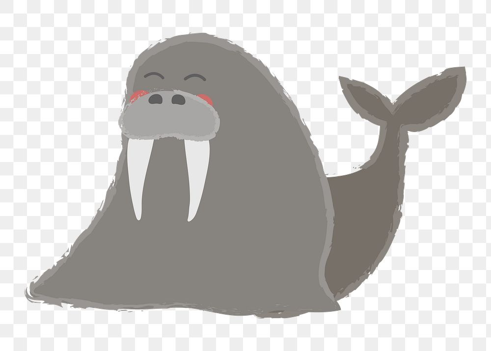 Walrus png illustration, transparent background