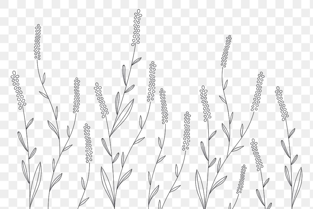 Minimal flower png border, transparent background