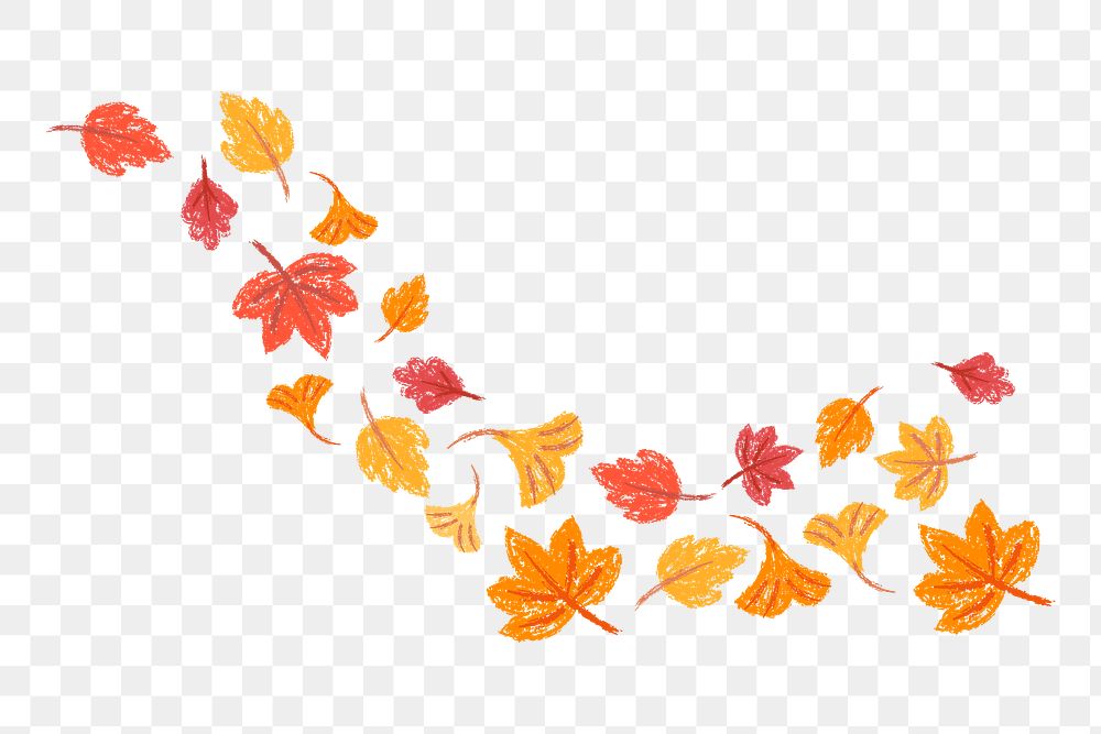 Png autumn leaves design element, transparent background