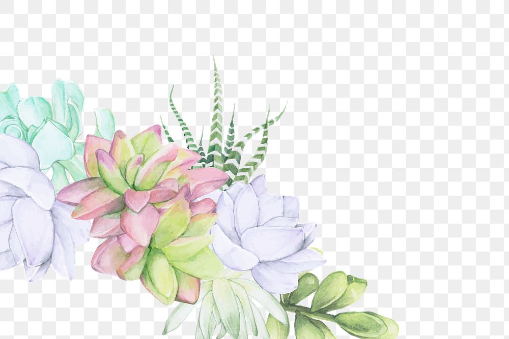 Watercolor flowers png border, transparent background