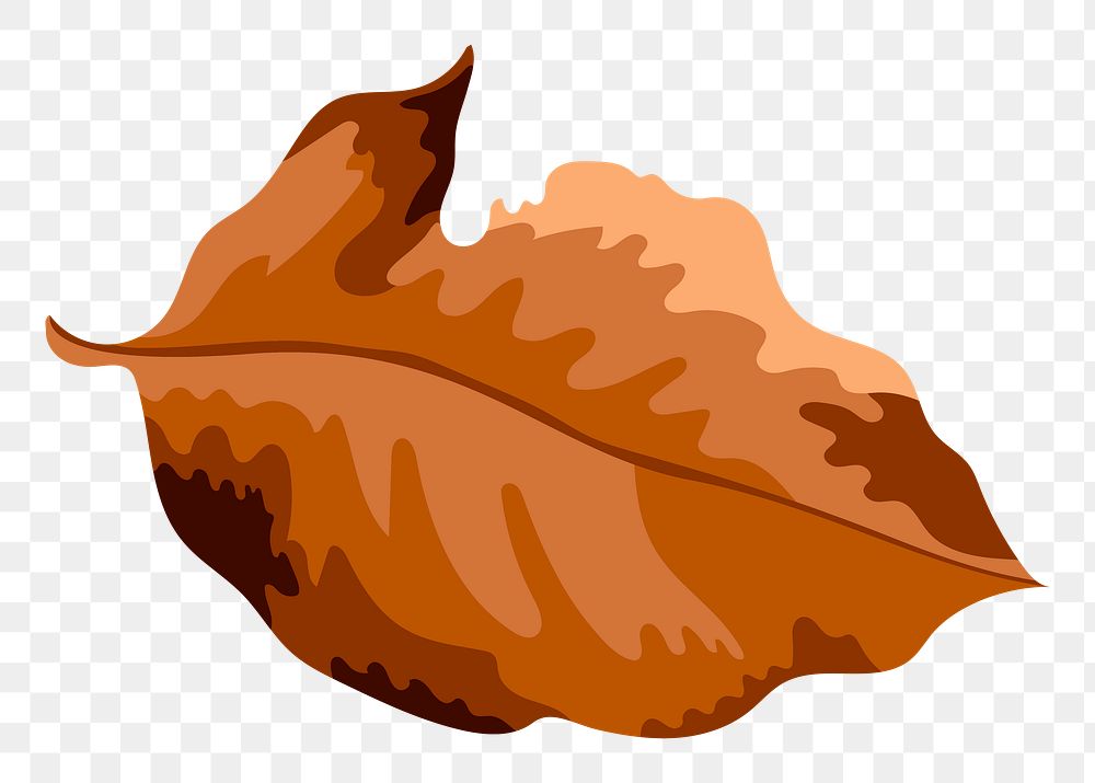 Png brown autumn leaf sticker, transparent background