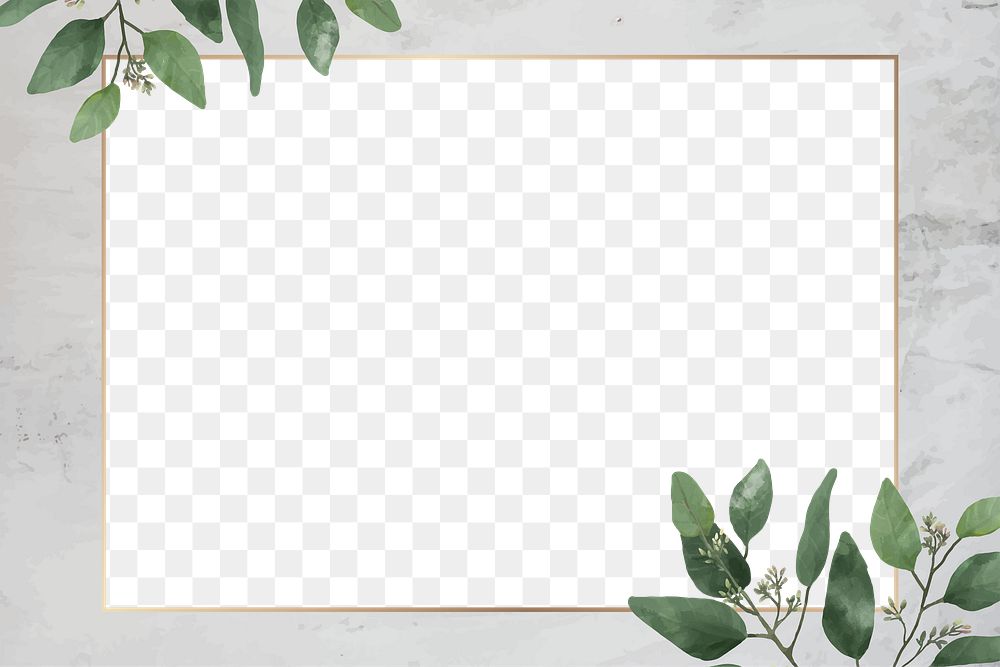 Png minimal botanical border frame, transparent background