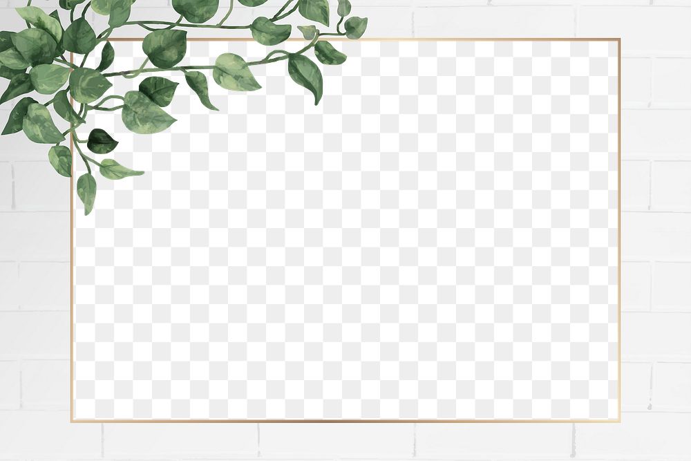 Png minimal botanical border frame, transparent background