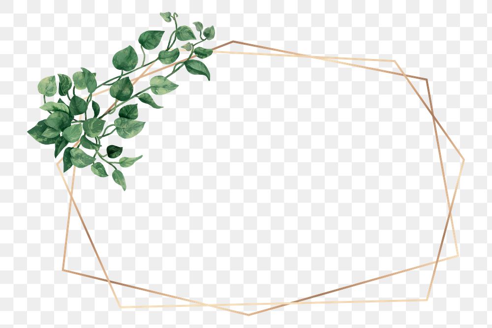 Aesthetic leaf png frame, transparent background