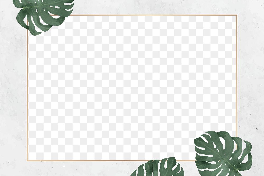 Png minimal botanical frame, transparent background