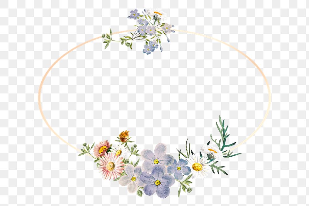 Flower png frame, transparent background