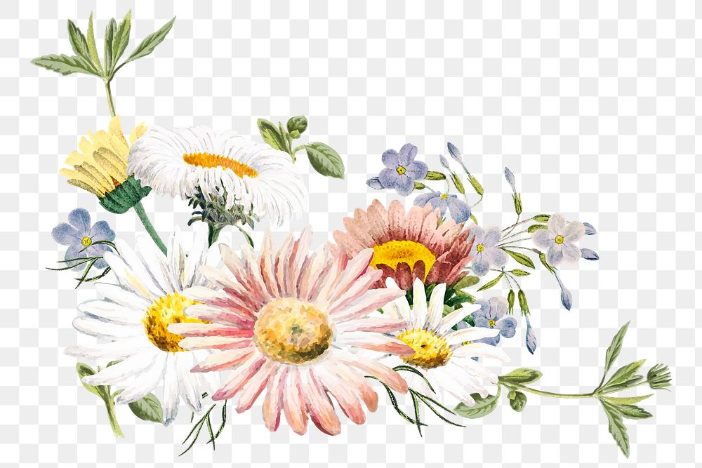 Flower png border, transparent background