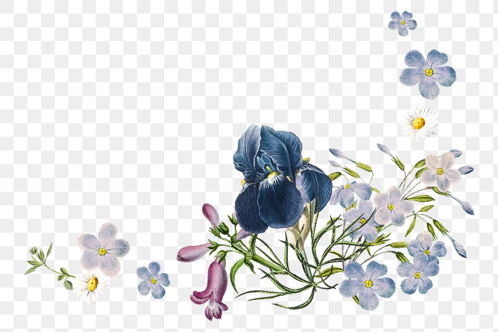 Flower png border, transparent background