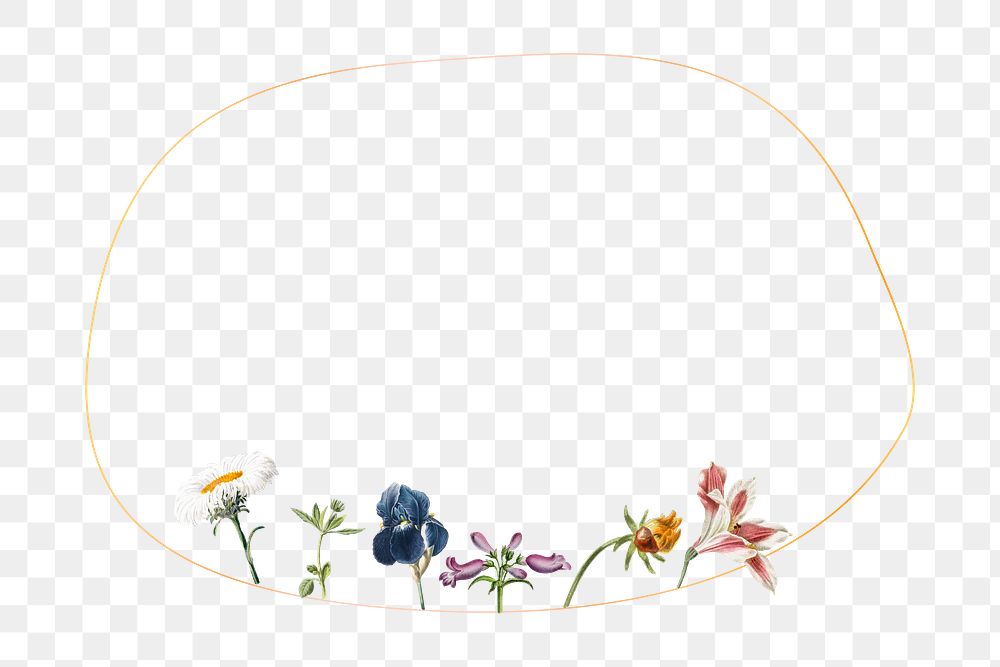 Flower png frame, transparent background