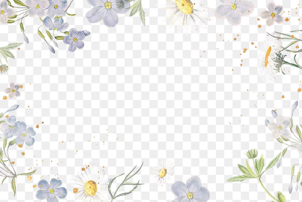 Flower png border, transparent background