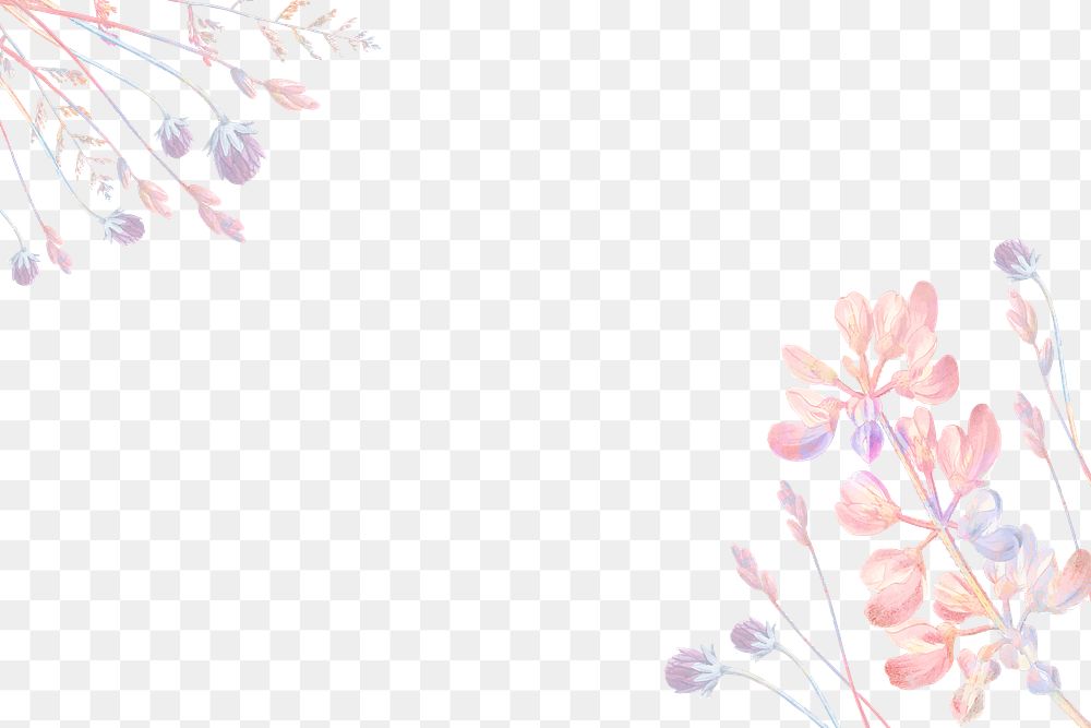 Flower png border, transparent background