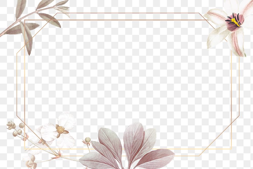 Flower png frame, transparent background