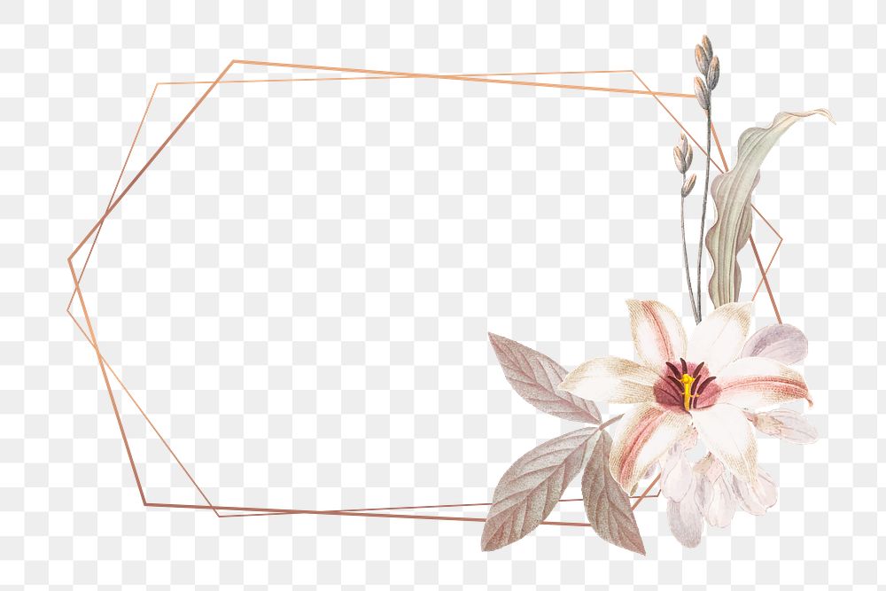 Flower png frame, transparent background