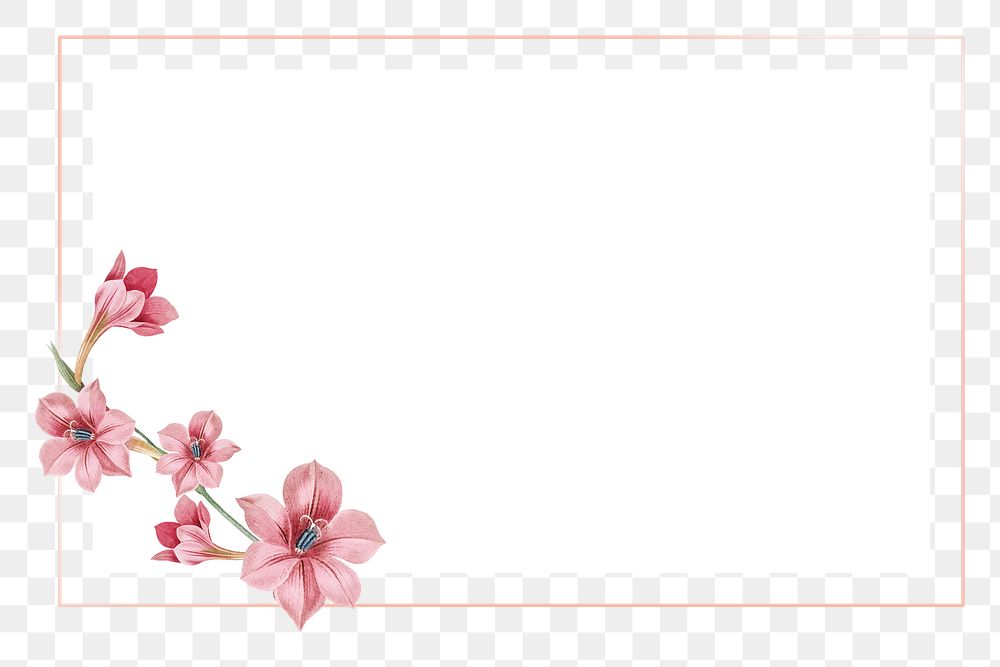 Flower png badge, transparent background