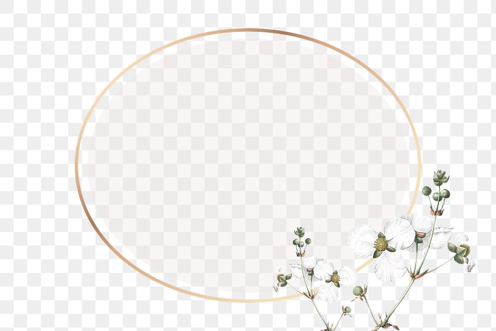 Flower png frame, transparent background