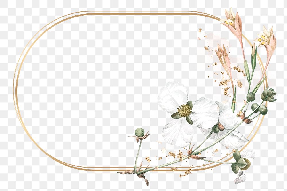 Flower png frame, transparent background