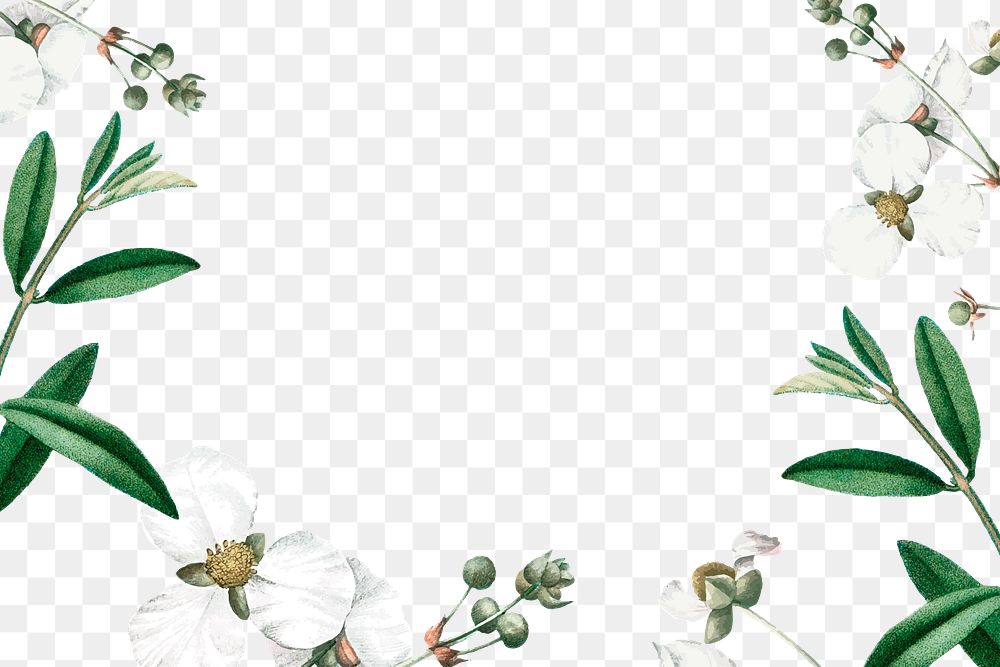 Flower png border, transparent background
