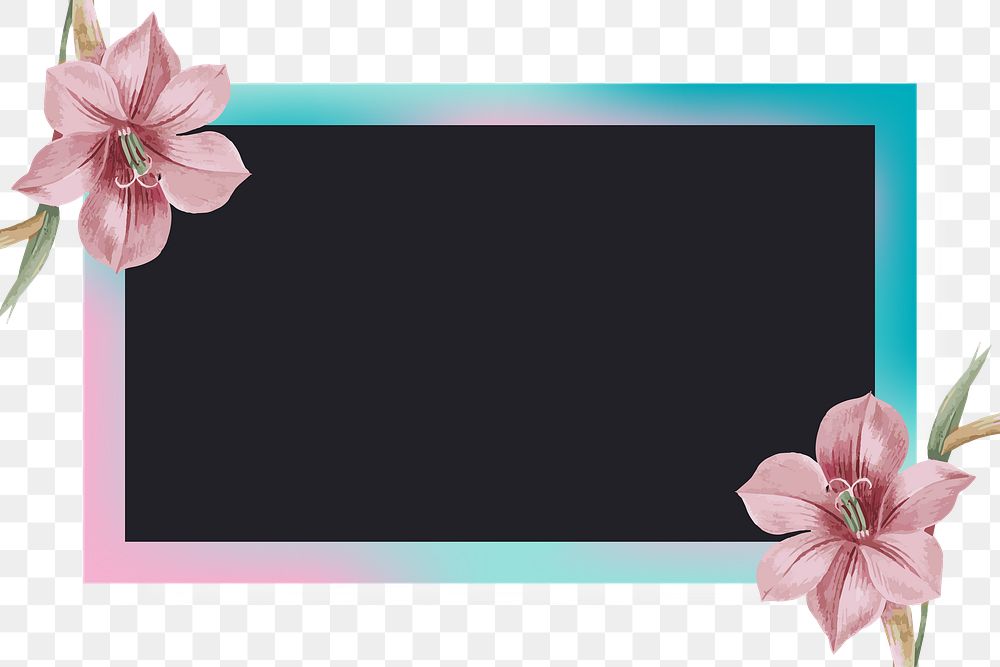 Png pink floral frame, transparent background