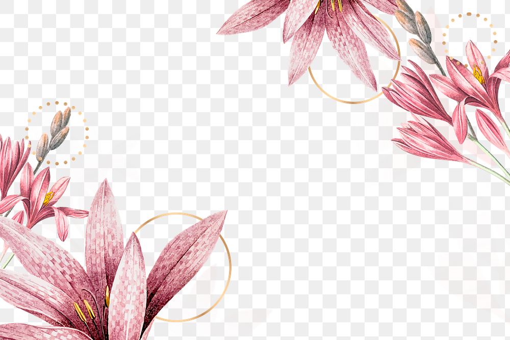 Flower png border, transparent background