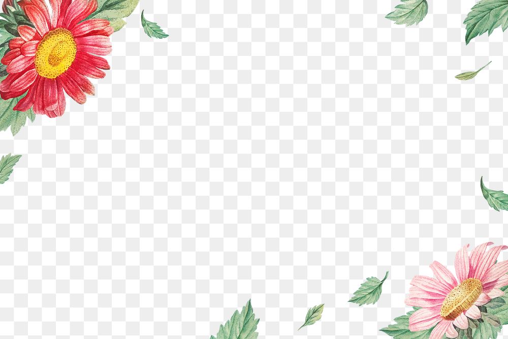 Flower png border, transparent background