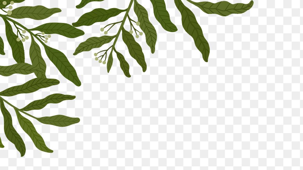 Leaf png border, transparent background