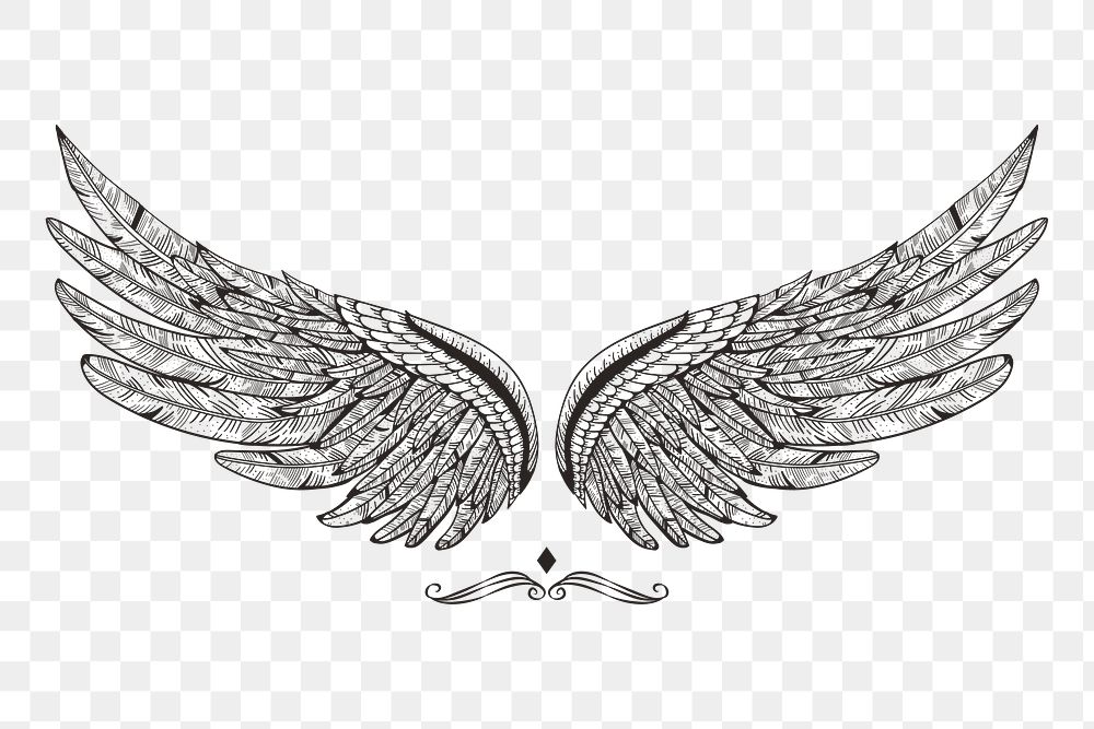 Wing png illustration, transparent background